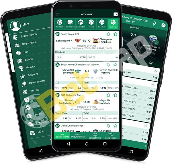 Découvrez le monde des paris avec Betwinner Découvrez le monde des paris avec Betwinner